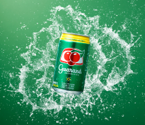 ガラナアンタルチカ